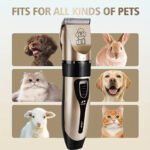 c6569b56688f49b98b6b5119c10bdd3a-goods