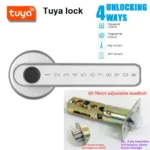 Tuya-Smart-Life-APP-Remote-Control-Intelligent-Digital-Password-Lock-Indoor-Metal-Door-Fingerprint-Biometric-Intelligent-9